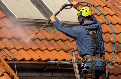 Démoussage et hydrofuge de toiture à Sauvessanges